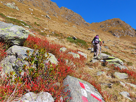 BOCCHETTA di BUDRIA (2216 m)-BIVACCO ZAMBONI (2007 m)-RIF. BALICCO (1995 m) ad anello-13ott25 - FOTOGALLERY